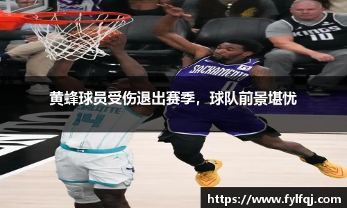 黄蜂球员受伤退出赛季，球队前景堪忧