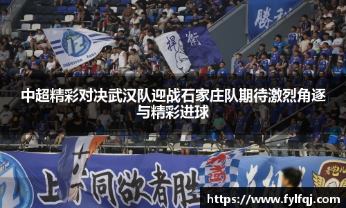 中超精彩对决武汉队迎战石家庄队期待激烈角逐与精彩进球