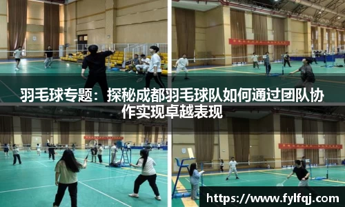 羽毛球专题：探秘成都羽毛球队如何通过团队协作实现卓越表现